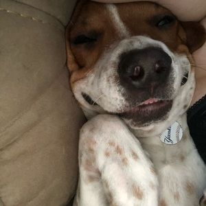 Meet your Posher, Summer